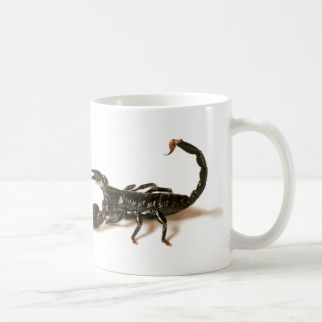 Kaiser-Skorpions-Tasse/Schale Kaffeetasse (Rechts)