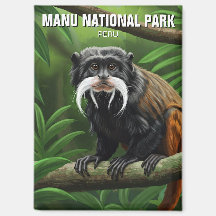 Kaiser Tamarin im Nationalpark Manu Peru