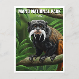 Kaiser Tamarin im Nationalpark Manu Peru Postkarte