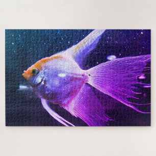 Kaiserfisch Strahlendes Neon Kosmisches Unterwasse