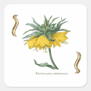 Kaiserkrone Sticker quadratisch