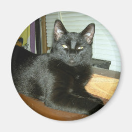 Kaiserliche Kitty Magnet