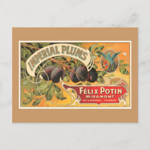 Kaiserliche Pflaumen Postkarte