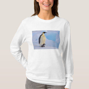 Kaiserpinguin   Aptenodytes T-Shirt