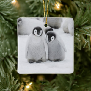 Kaiserpinguin-Küken auf Eis in der Antarktis Keramikornament