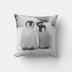 Kaiserpinguin-Küken auf Eis in der Antarktis Kissen