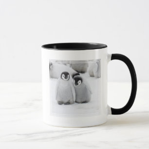 Kaiserpinguin-Küken auf Eis in der Antarktis Tasse