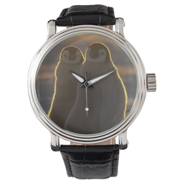 Kaiserpinguine Armbanduhr (Vorderseite)