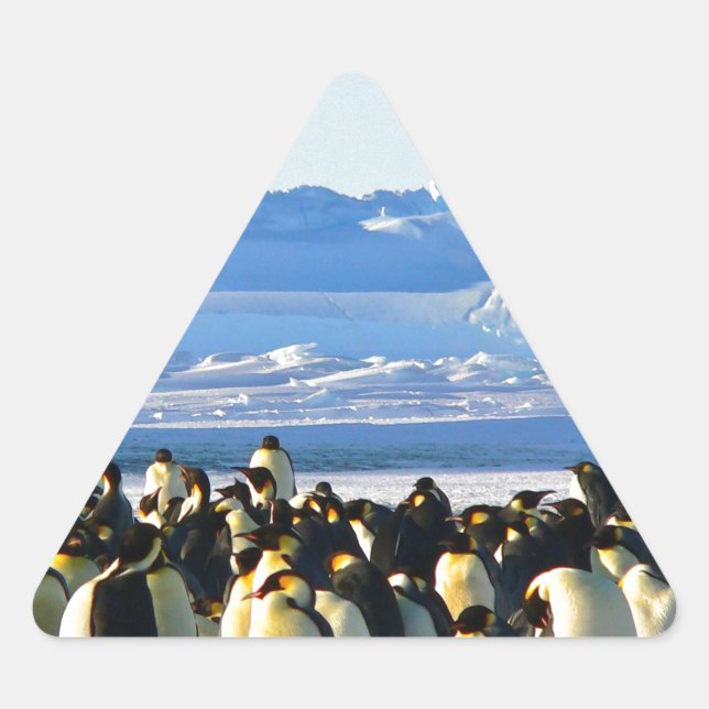 Kaiserpinguine Dreieckiger Aufkleber (Vorderseite)
