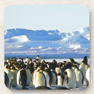 Kaiserpinguine Getränkeuntersetzer