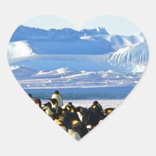 Kaiserpinguine Herz-Aufkleber