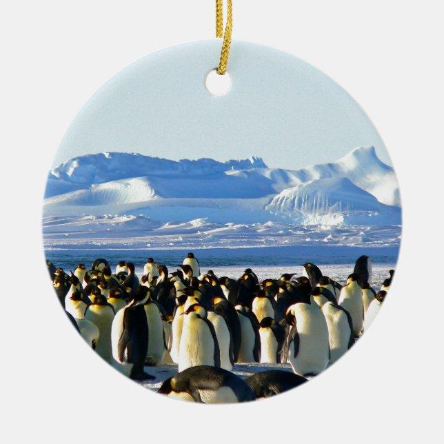 Kaiserpinguine Keramik Ornament (Vorne)