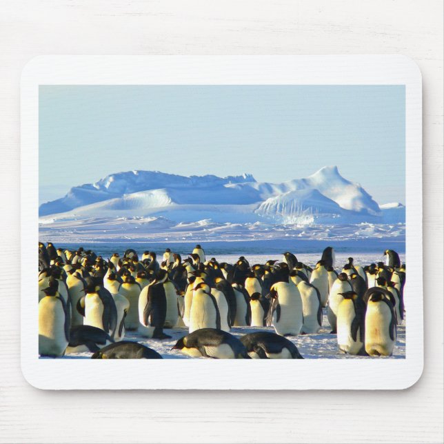 Kaiserpinguine Mousepad (Vorne)