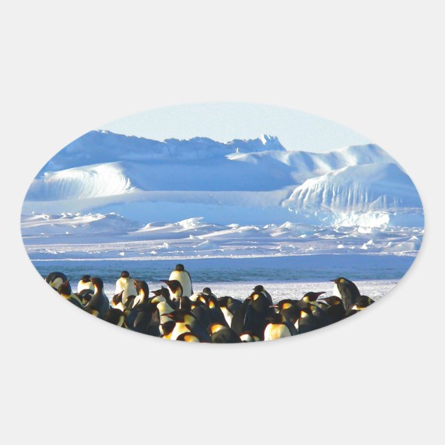 Kaiserpinguine Ovaler Aufkleber (Vorderseite)