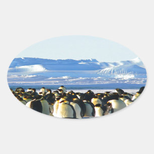 Kaiserpinguine Ovaler Aufkleber