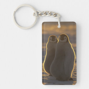 Kaiserpinguine Schlüsselanhänger