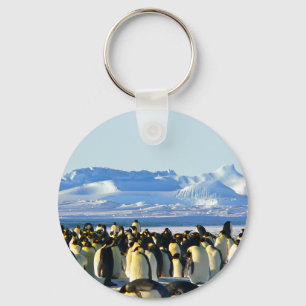 Kaiserpinguine Schlüsselanhänger