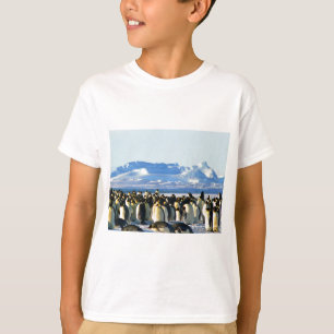 Kaiserpinguine T-Shirt