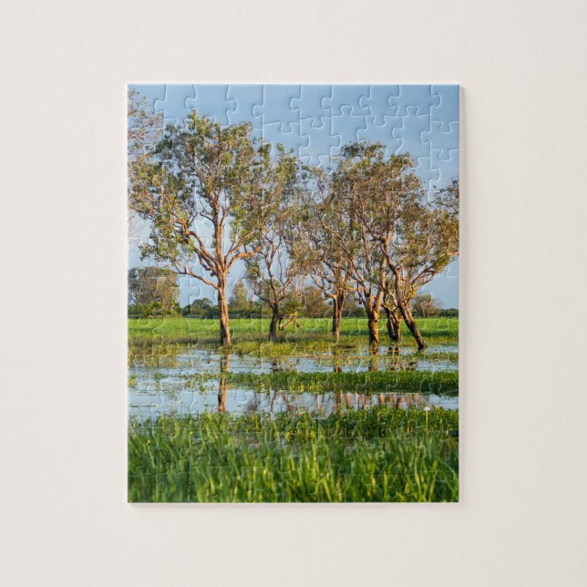 Kakadu billabong Northern Territory Australien (Vertikal)