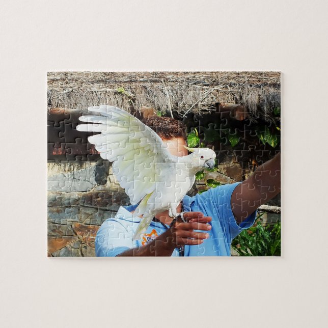 Kakadu mit Flügel (Horizontal)