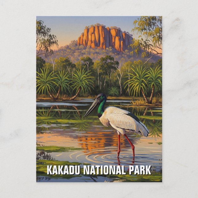 Kakadu Nationalpark Australien Postkarte (Vorderseite)