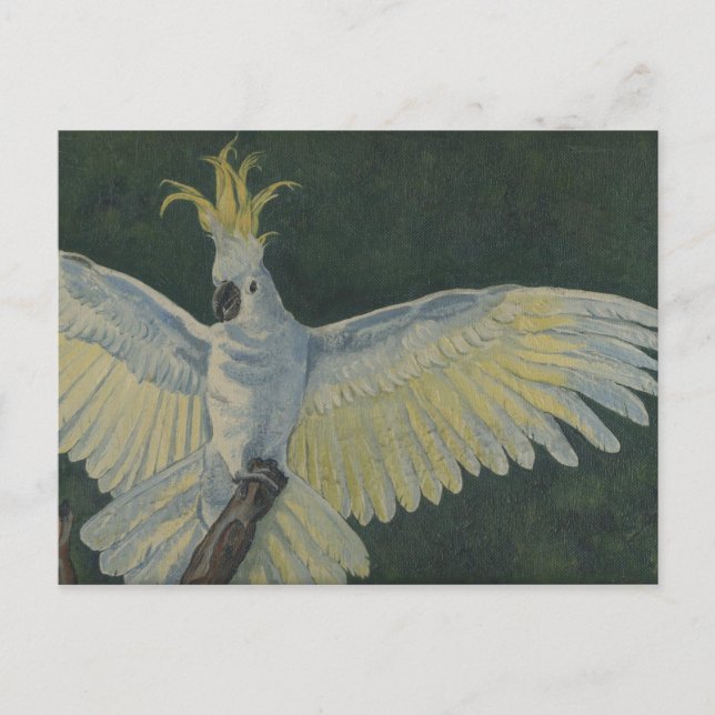 Kakadu Postkarte (Vorderseite)