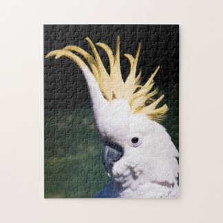 Kakadu-Puzzle mit Schwefelkies