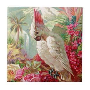 Kakadu & Rosen Vintage-Kunst Fliese