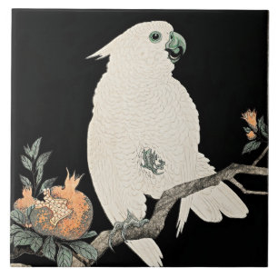 Kakadu und Granatapfel, Kunst von Ohara Koson Fliese