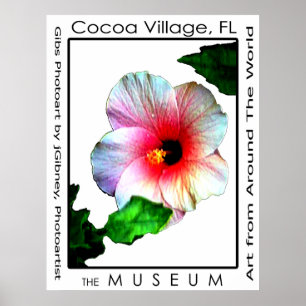 Kakao-Dorf-Plakat Hybiscus p3 das MUSEUM Zazzle Poster