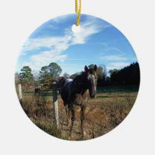 Kakao- und Cremopferpferd Keramik Ornament