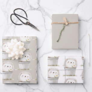 Kakaocreme Igel Gänseblümchen Blumen Eimer Geburts Geschenkpapier Set