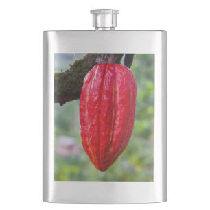 Kakaoschote rot flachmann