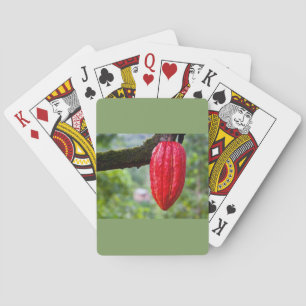 Kakaoschote rot spielkarten