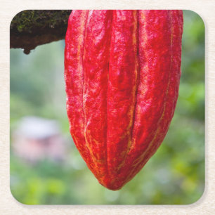 Kakaotorrot Rechteckiger Pappuntersetzer