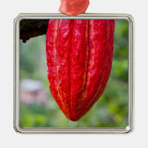 Kakaotorrot Silbernes Ornament