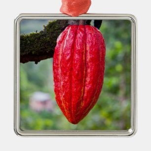 Kakaotorrot Silbernes Ornament