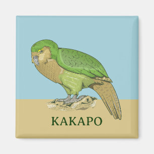 Kakapo-Abbildung Magnet