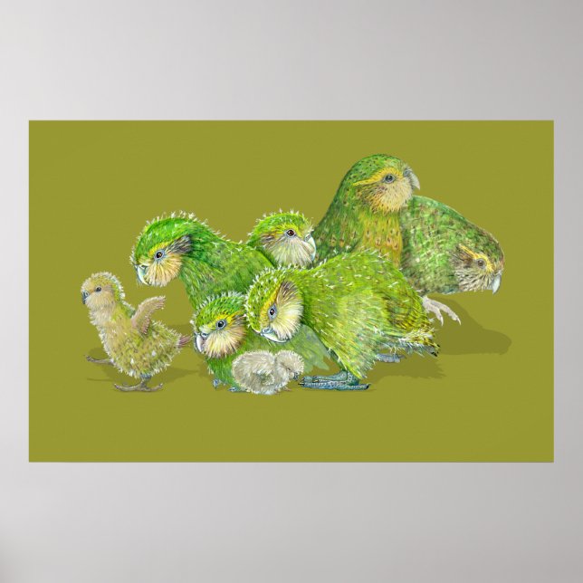 Kakapo Chick Creche Poster (Vorne)