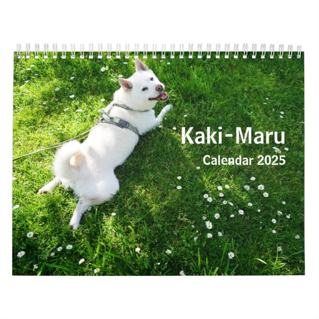 Kaki-Maru-Kalender 2025 Kalender (Titelbild)