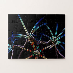 Kakteen 1 11x14 30pc jpcnm