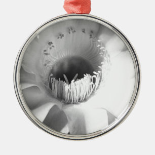 Kakteen-Blume in Schwarz und Weiß #succulent Ornament Aus Metall