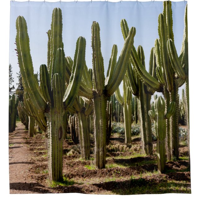 Kakteen Garten, tropische Wüstenlandschaft. Duschvorhang (Vorderseite)