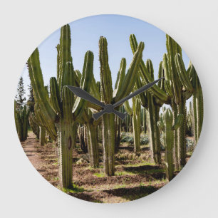 Kakteen Garten, tropische Wüstenlandschaft. Große Wanduhr