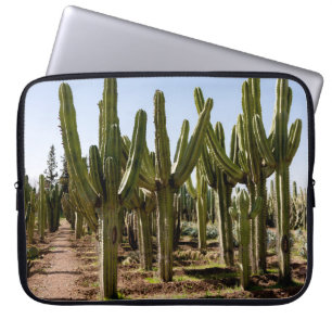 Kakteen Garten, tropische Wüstenlandschaft. Laptopschutzhülle