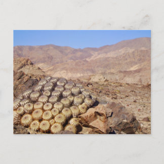 Kakteen in der Atacama-Wüste, Chile Postkarte