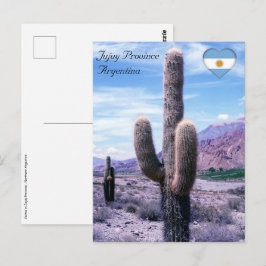 Kakteen in der Provinz Jujuy - Nordargentinien Postkarte