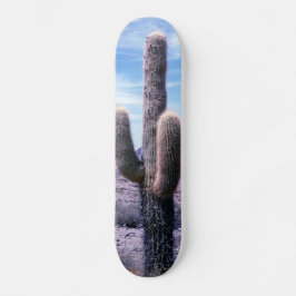 Kakteen in der Provinz Jujuy - Nordargentinien Skateboard