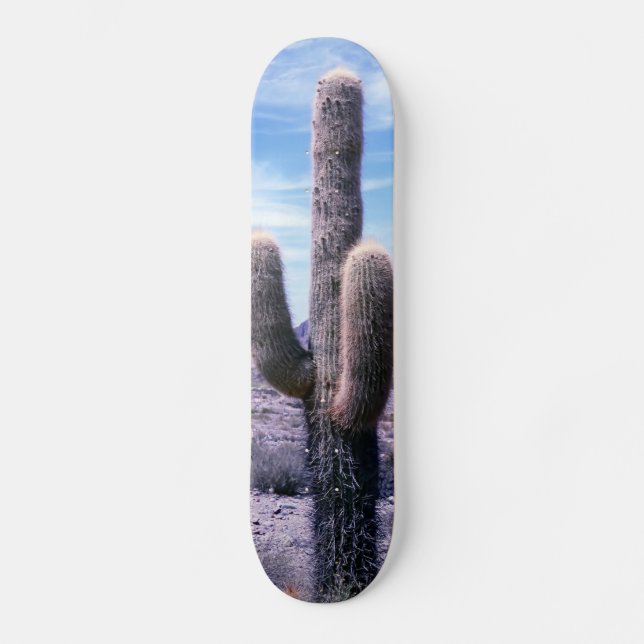 Kakteen in der Provinz Jujuy - Nordargentinien Skateboard (Vorderseite)