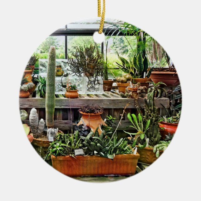 Kakteen in Greenhouse Keramik Ornament (Vorne)